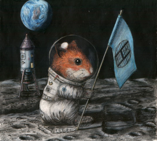 Hampster on the Moon