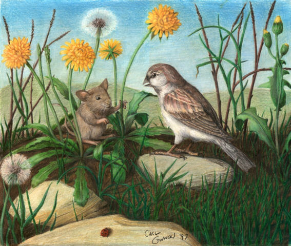 A Mouse Assisting a Sparrow
