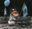 First Hamster on the Moon
