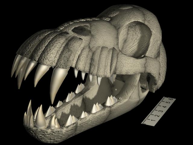 a_skull1.jpg (38139 bytes)