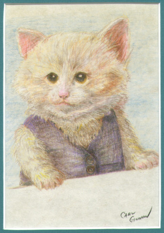 Kitten in Vest