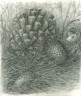 Hospital Sketch 3