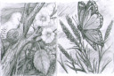 Hospital Sketch 4