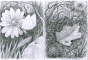 Hospital Sketch 5