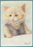 Kitten in Vest