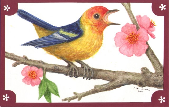 Bird 2011