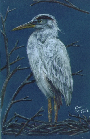 Heron 2018