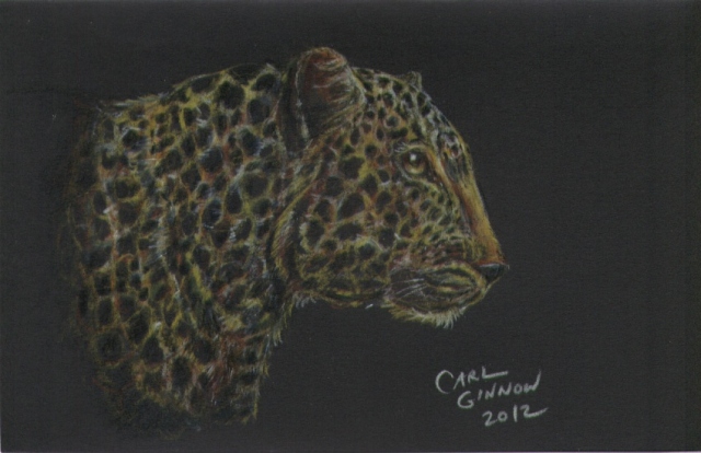 Leopard