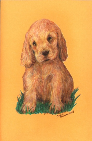 Lost Puppy