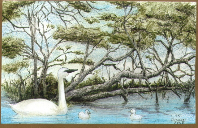 Swans 2018