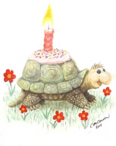 Turtle 2011