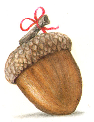 Acorn Gift