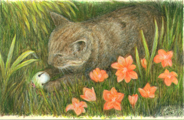 Cat and Bell