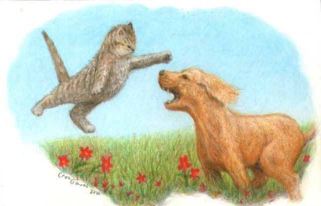 Cat and Dog Dream
