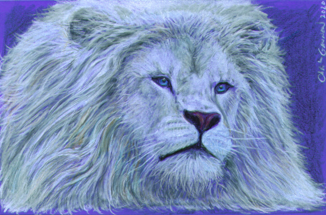 White Lion
