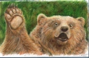 Bear Handed