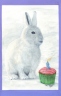 Bunny Cake