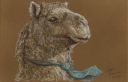 Camel 2017