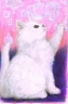 Bubble Cat