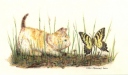 Cat and Butterfly