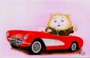 Cat's Corvette
