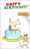 Cat Diver Inside