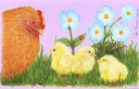 Cheep