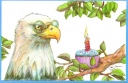 Eagle 2016