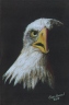 Eagle 2019