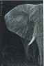 Half an Elephant