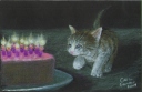 Kitten Cake 2017