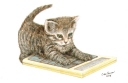 Kitten Calculator