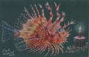 Lionfish