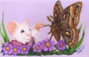 Mouse Meets Moth