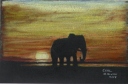 Sunset Elephant
