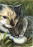 Two Cats