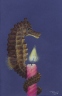 Seahorse