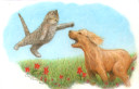 Cat and Dog Dream