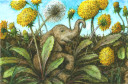 Elephant in Dandelions 2023