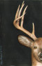 Half a Buck