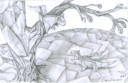 Origami Squirrel and Dragon