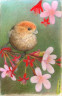 Small Bird in Tree