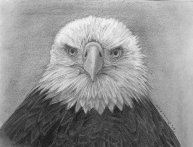 Eagle