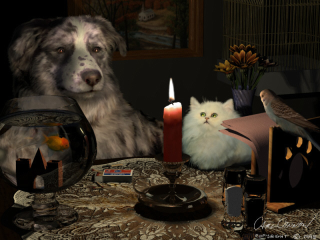petplanb.jpg (95301 bytes)