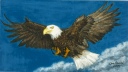 Flying Eagle