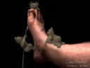 Bear-Foot