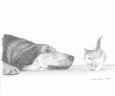 Dog and Kitten