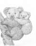Koalas