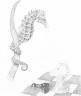 Sea and Chess Horses