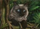 Jungle Cat (2D)